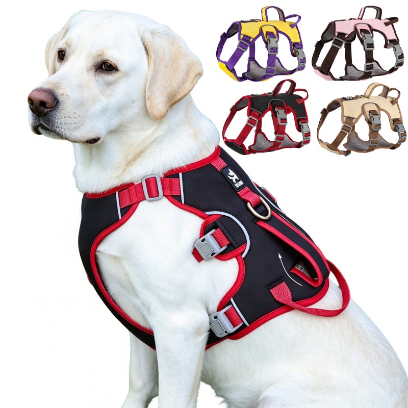 D Ring Strap - Pettorina per Cani Anti-Trazione, Riflettente, per